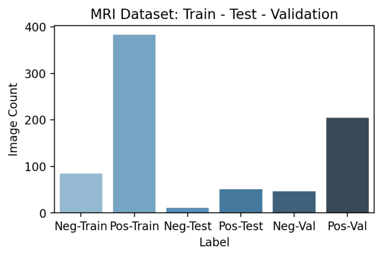 MRI Dataset Split